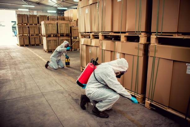 Best Affordable Pest Control Services  in Pinewood Estates, TX