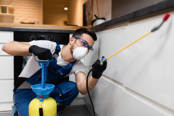 Best Termite Control Services  in Pinewood Estates, TX