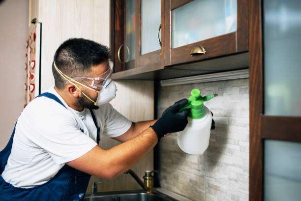 Best Cockroach Control Services  in Pinewood Estates, TX