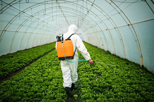 Best Pest Removal Services  in Pinewood Estates, TX