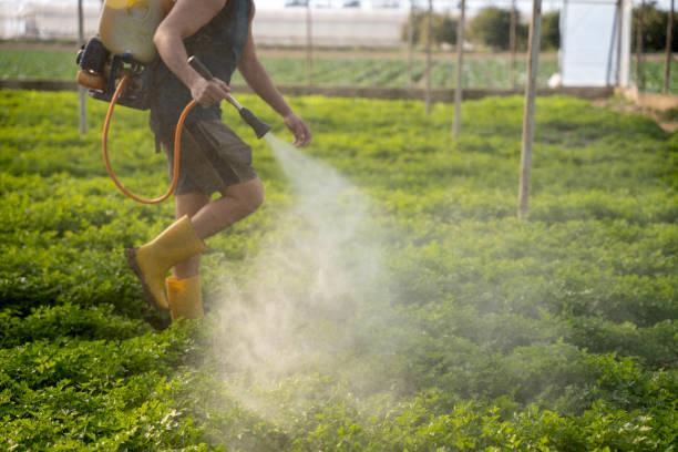 Professional Pest Control in Pinewood Estates, TX