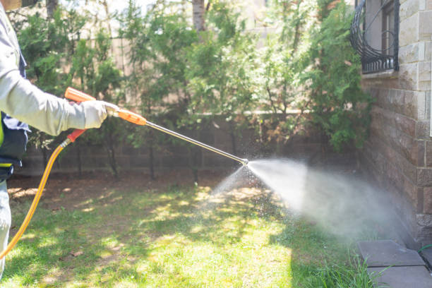 Best Bird Control  in Pinewood Estates, TX