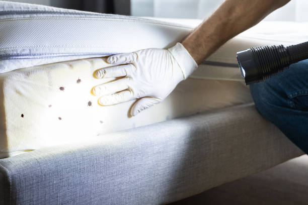 Pest Prevention Services in Pinewood Estates, TX