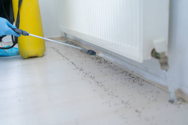 Best Emergency Pest Control  in Pinewood Estates, TX