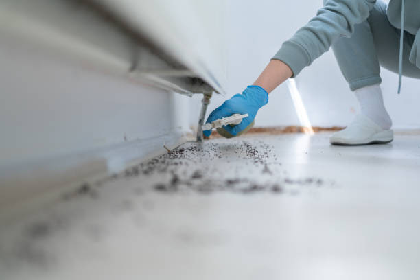 Best Commercial Pest Control Services  in Pinewood Estates, TX